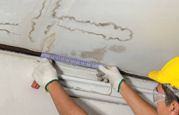 Reliable Mold Remediation contractor in Lebanon, VA by Water Damage Irwin